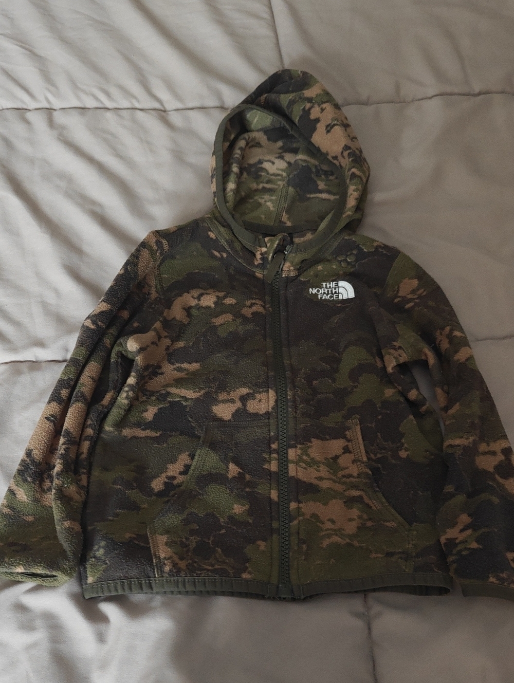 Northface Fleece Hooded Zip up